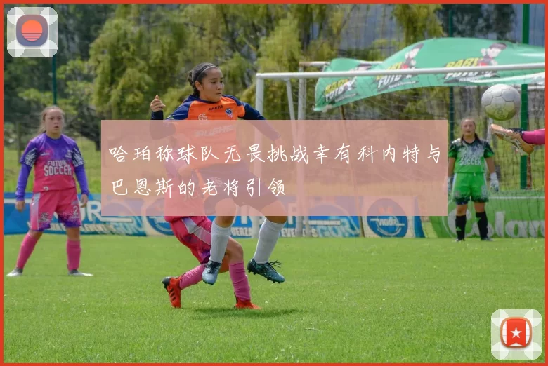 哈珀称球队无畏挑战幸有科内特与巴恩斯的老将引领
